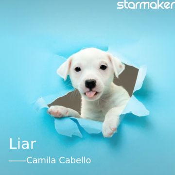 Liar-cover