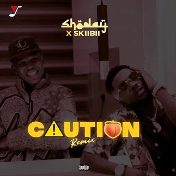 Caution (Remix)-cover