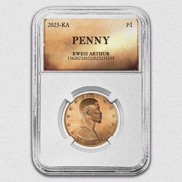 Penny-cover