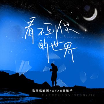 看不到你的世界-cover