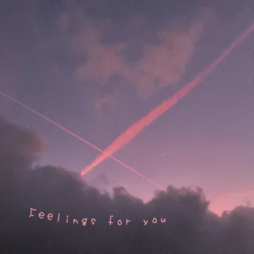 Feelings for You-cover