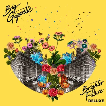 Brighter Future (feat. Naaz) (Win and Woo Remix)-cover