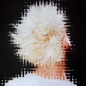 Whole Again 2.0 (with FOVOS)-cover