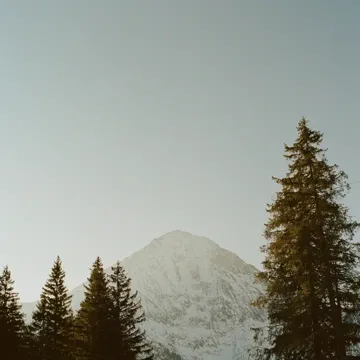 coveImg