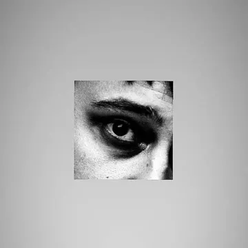 wieder-cover