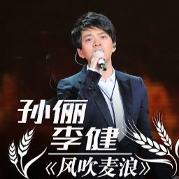风吹麦浪(3D Version)-cover