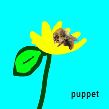 coveImg