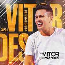 Vou falar que não quero-cover