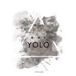 YOLO-cover