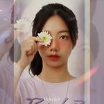 she-cover