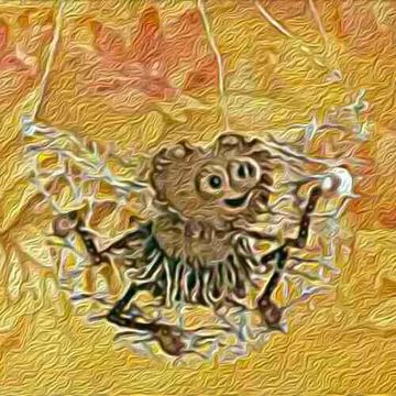 песенка паучка Ананси