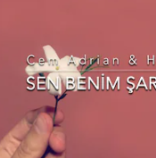 Sen Benim Şarkılarımsın-cover