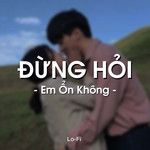 Đừng Hỏi Em Ổn Không (Lofi)-cover