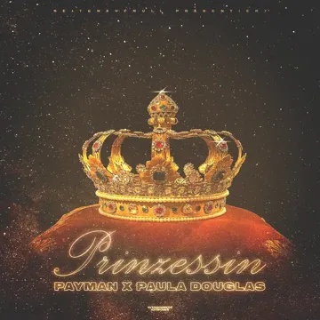 Prinzessin-cover