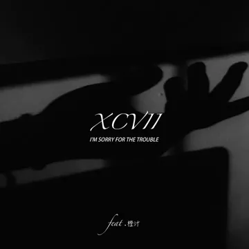 我是个麻烦-cover