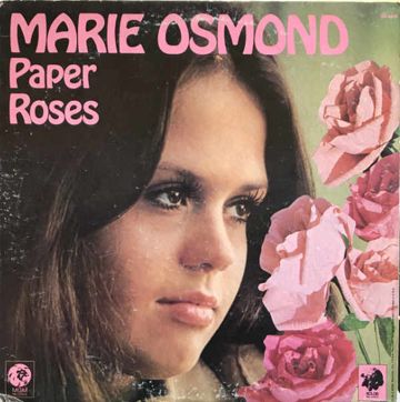 Paper Roses by MCT_Eric