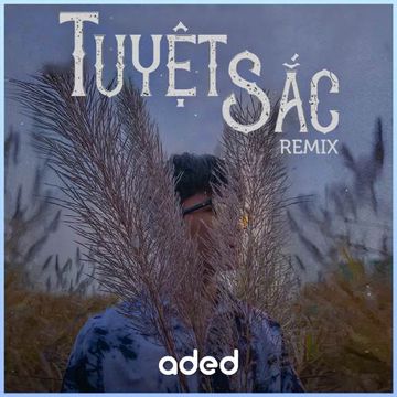 Tuyệt Sắc (LongDrae Remix)-cover