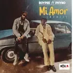 Mi Amor (Remix)-cover