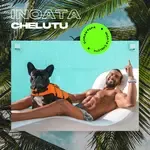 Inoata Chelutu-cover