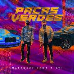 PACAS VERDES-cover