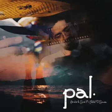 Pal-cover