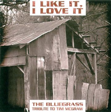 I Like It, I Love It-cover