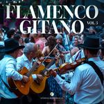 Canta la guitarra al sol