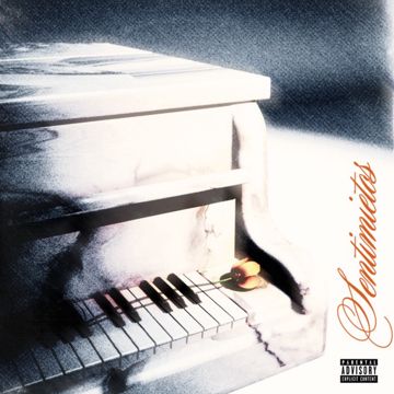 Sentimientos-cover