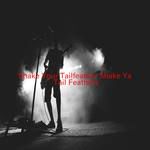 Shake Your Tailfeather(Shake Ya Tail Feathers)(Complete version originally performed by Nelly Feat. P Diddy-cover
