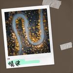 爱的迷惑-cover