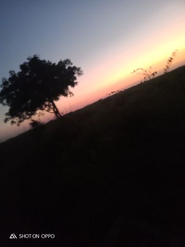 coveImg
