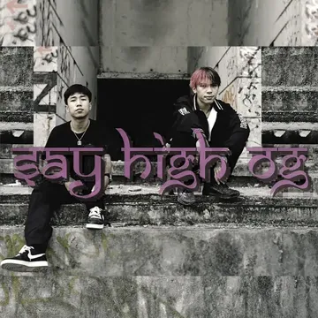 SAY HIGH OG-cover