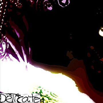 sananda-maitreya-delicate-cover-image