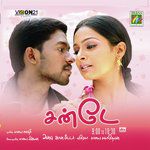 Nallathore Veenai-cover
