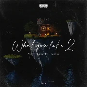 What you like 2-cover
