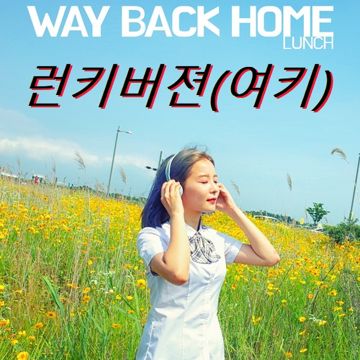 way back home-런키(데빌명수)-cover