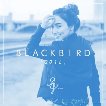 Blackbird (Acoustic Version)-cover
