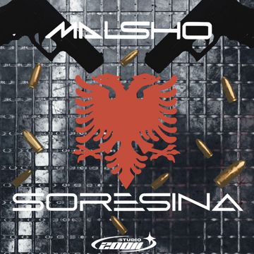20011 x Malsho