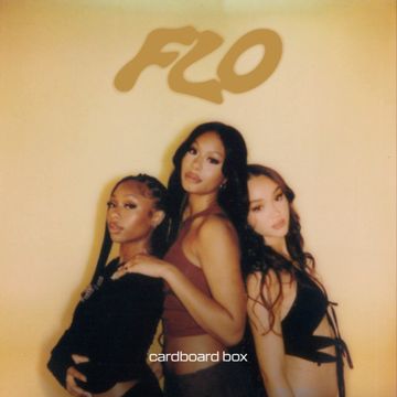 Cardboard Box (officiel)-cover