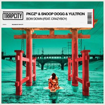 BOW DOWN (feat. CRAZYBOY)-cover