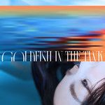 四分之一的二十一世纪