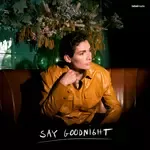 Say Goodnight-cover