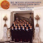 An der schönen blauen Donau (Waltzer, op. 314)-cover