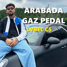 GAZ PEDAL-cover