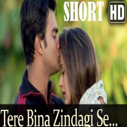 Tere Bina Zindagi se Unplugged-cover