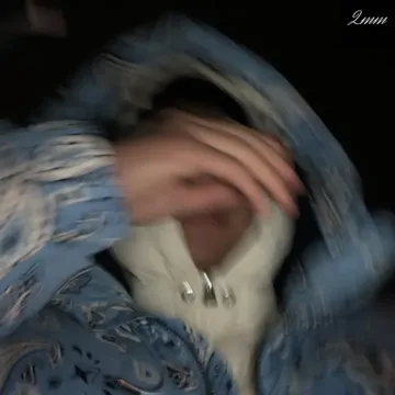 HYPESCHOOL FREESTYLE-cover