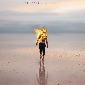 All Of This Is Fleeting-cover