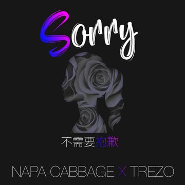 不需要抱歉-cover