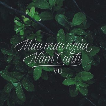 Mùa Mưa Ngâu Nằm Cạnh-cover