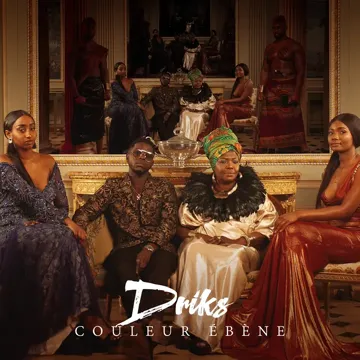 Couleur ébène-cover